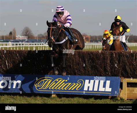 new york lotto results william hill|william hill horse racing today.